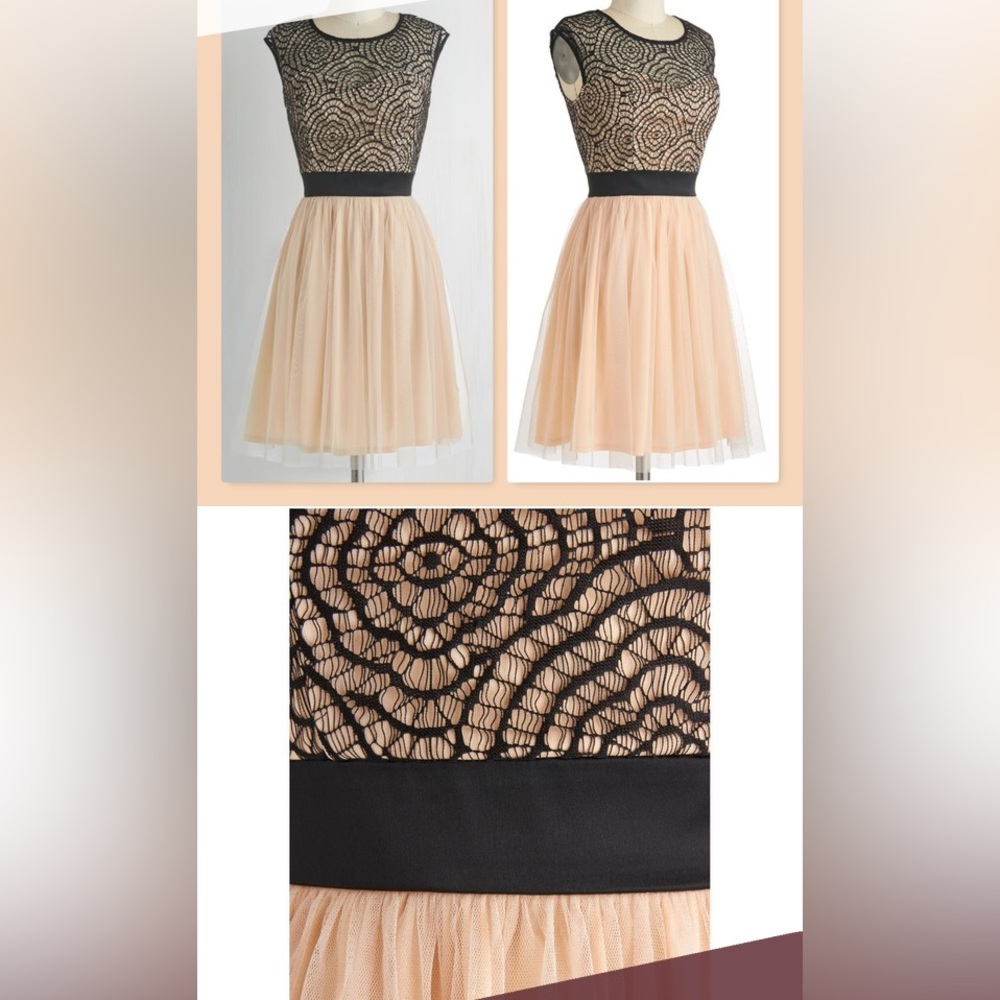 ModCloth Starlet's Web Turquoise Tulle Black Lace Fit-and-Flare Dress - Picture 15 of 16